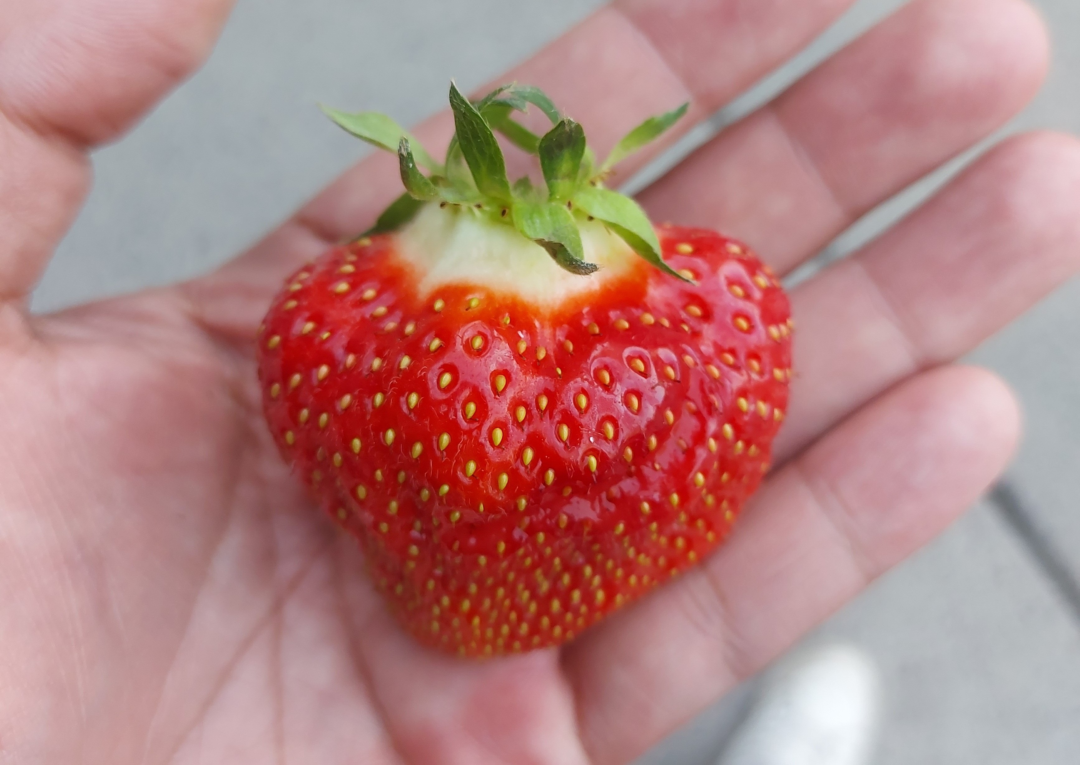 strawberry